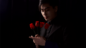 Y-Rose by Mr. Y & Bond Lee
