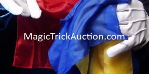 Magician Websites For Sale