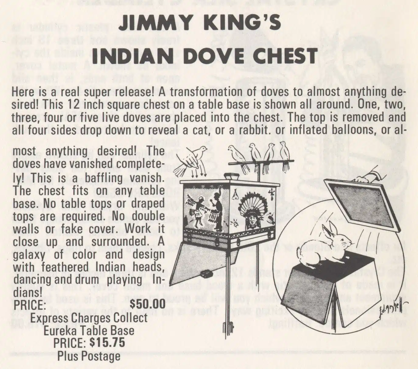 Jimmy King Indian Dove Chest