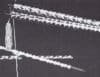 MAK Magic Chinese Sticks Instructions - MagicTrickCollection.com Rare & Vintage Collectible Magic Tricks