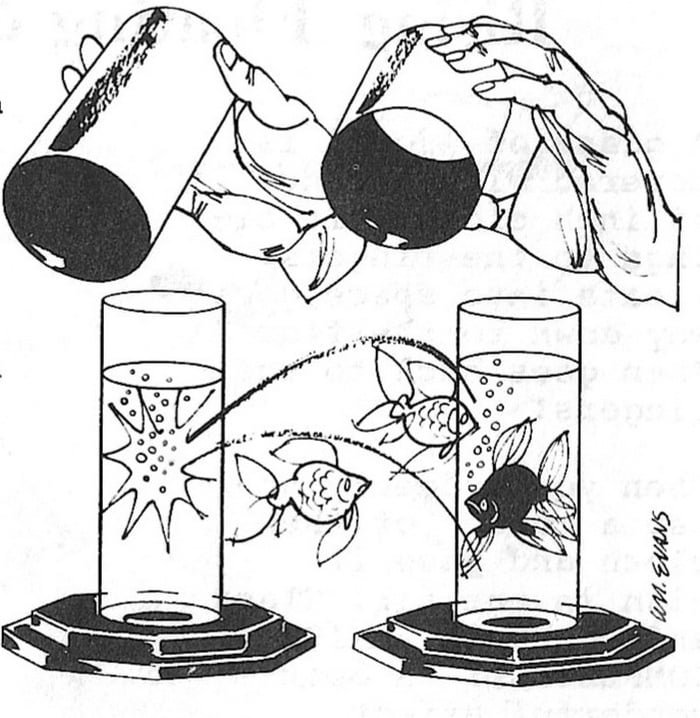 MAK Magic / UF Grant Rare & Vintage Magic Trick Instructions Sheets - Digital Download