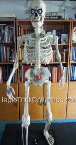 Spirit Halloween GRIM Animated Skeleton Available at MagicTrickCollection.com