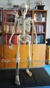 Spirit Halloween GRIM Animated Skeleton Available at MagicTrickCollection.com