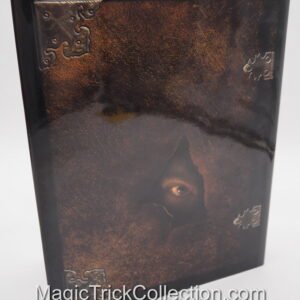 Mystery School by Eugene Burger and Jeff Mcbride promised to be a magic conference group of magicians dedicated to the deeper sides of the art of magic